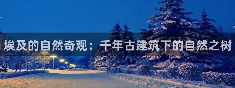 卧龙娱乐总代