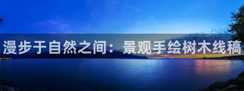 卧龙娱乐天