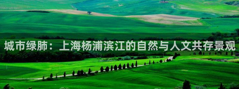 卧龙娱乐 找86555