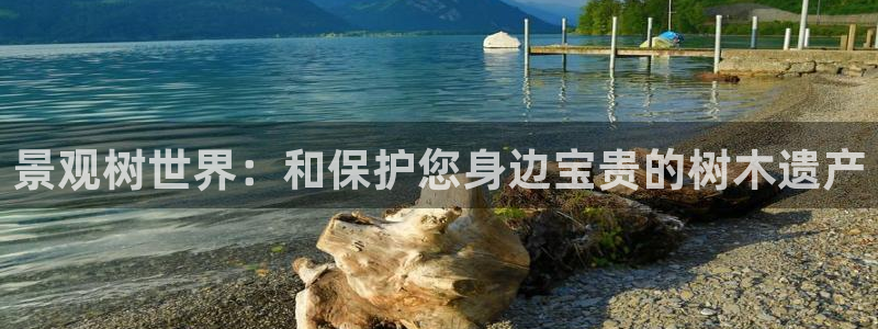 卧龙休闲娱乐优惠