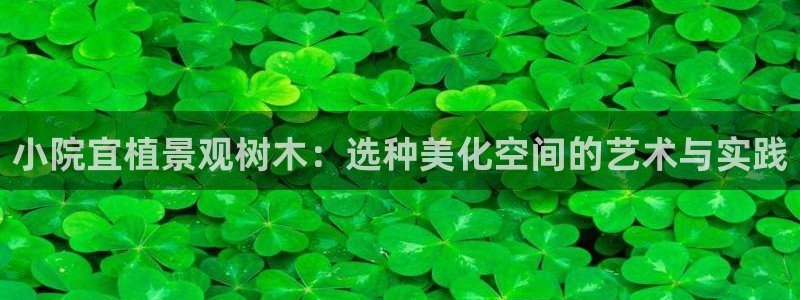 卧龙娱乐是什么