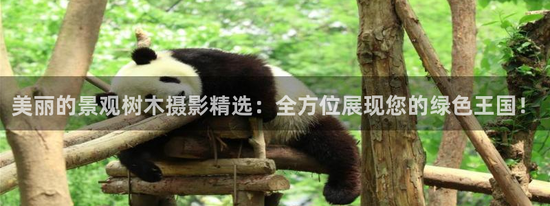 卧龙娱乐前