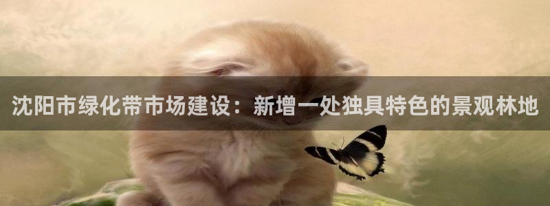 卧龙娱乐若七九九