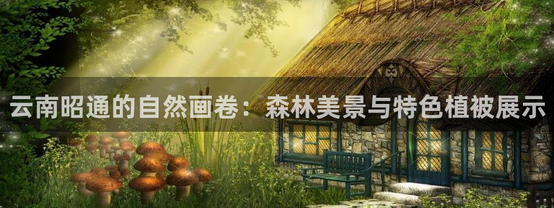 hr娱乐 扣卧龙60447