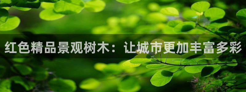 卧龙娱乐老板是谁啊