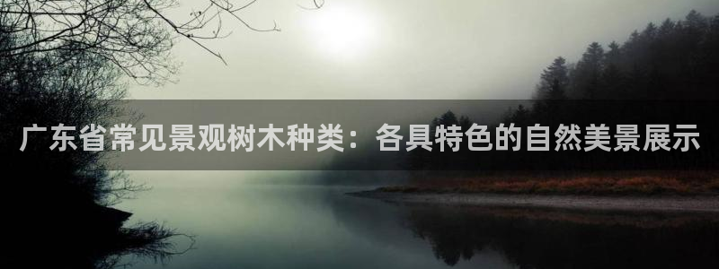 卧龙娱乐qv396667