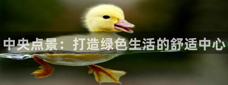 卧龙娱乐网址大全