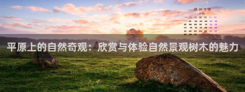 卧龙娱乐招商代理是谁