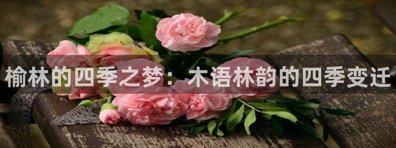 卧龙娱乐注册网址多少号：榆林的四季之梦：木语林韵的四季变迁