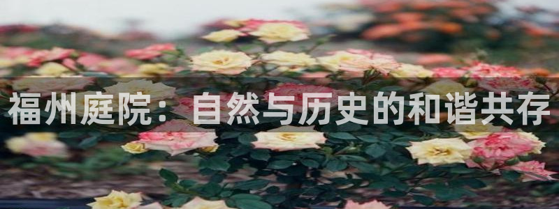 卧龙沙滩蹦床娱乐