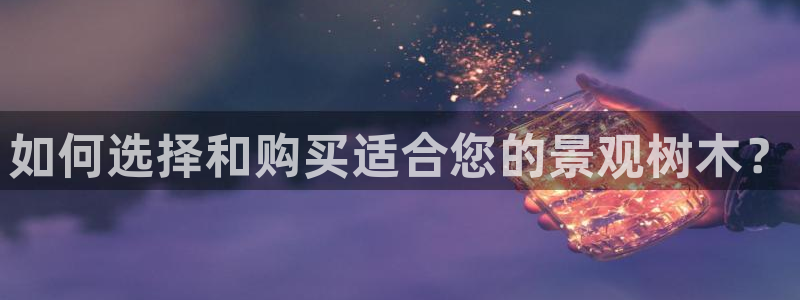 卧龙凤雏娱乐 小辣椒：如何选择和购买适合您的景观树木？