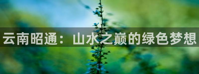 卧龙凤雏娱乐直播
