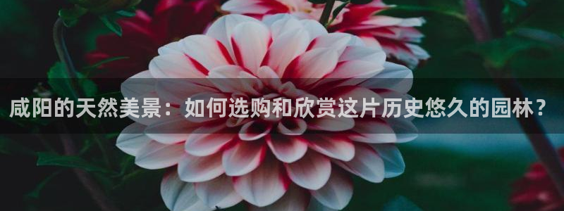 卧龙凤雏娱乐直播