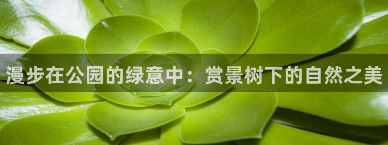 卧龙娱乐在线直播网页