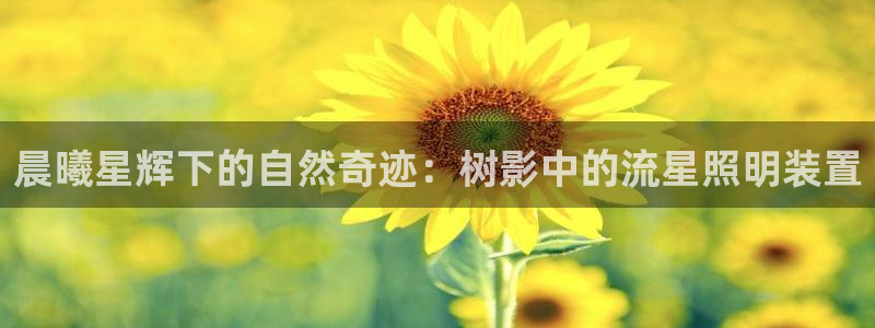 西安卧龙娱乐播报：晨曦星辉下的自然奇迹：树影中的流星照明装置