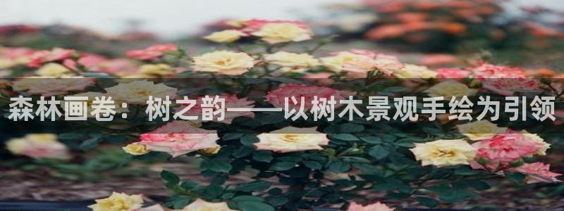 卧龙娱乐官网网址