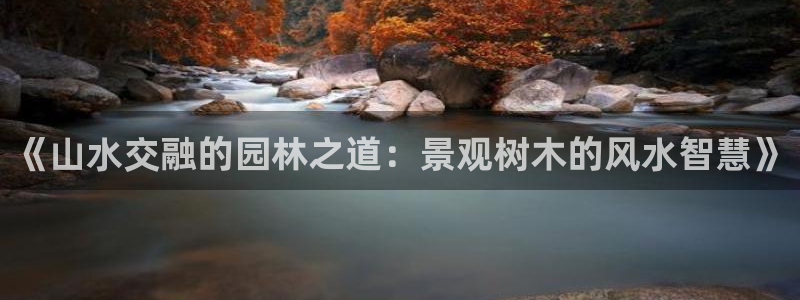 卧龙镇娱乐