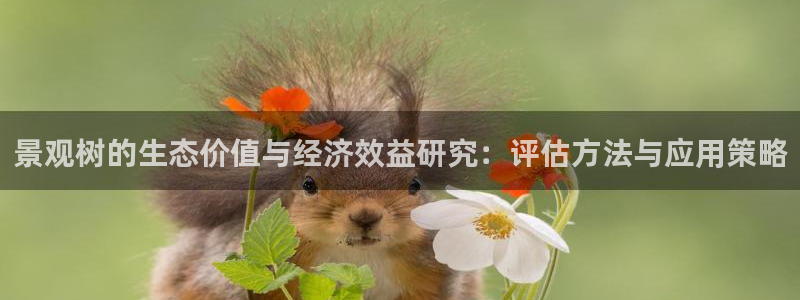 卧龙娱乐彩票官网直播