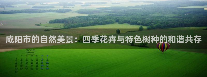 卧龙山娱乐