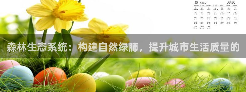 南阳卧龙水之梦娱乐会所