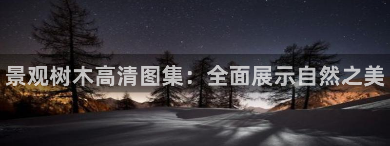 qq娱乐 卧龙招商60447