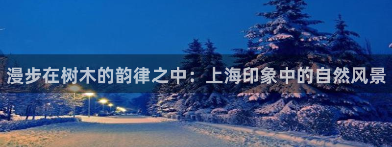 卧龙牧原娱乐设施：漫步在树木的韵律之中：上海印象中的自然风景