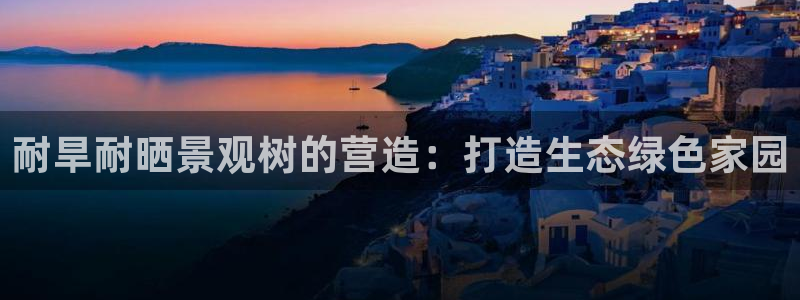 BA娱乐卧龙招商60447