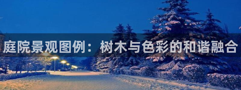 卧龙娱乐招商主管薪资