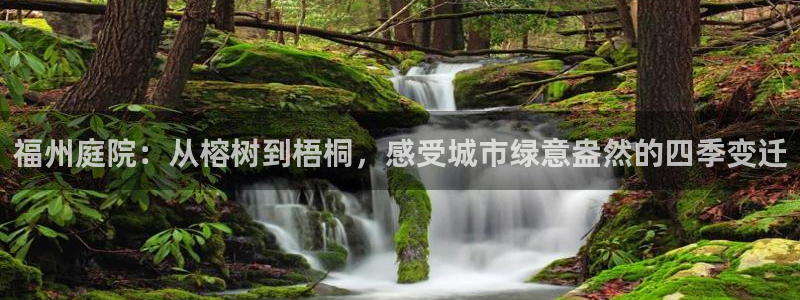 卧龙娱乐老板叫什么：福州庭院：从榕树到梧桐，感受城市绿意盎然的四季变迁