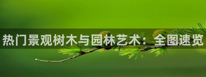 卧龙娱乐主管是谁：热门景观树木与园林艺术：全图速览