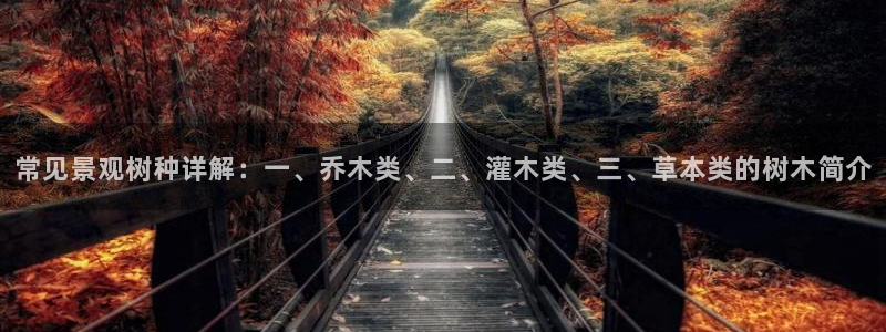 卧龙娱乐官网：常见景观树种详解：一、乔木类、二、灌木类、三、草本类的树木简介