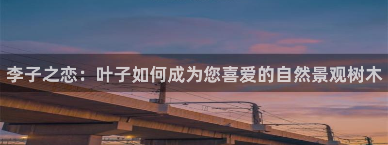 卧龙吟娱乐玩法：李子之恋：叶子如何成为您喜爱的自然景观树木
