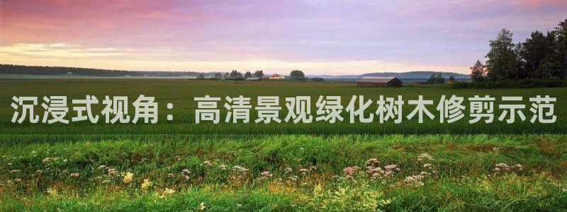 卧龙娱乐属于什么公司：沉浸式视角：高清景观绿化树木修剪示范