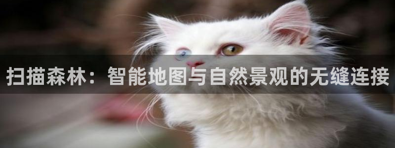 卧龙娱乐登录地址查询：扫描森林：智能地图与自然景观的无缝连接