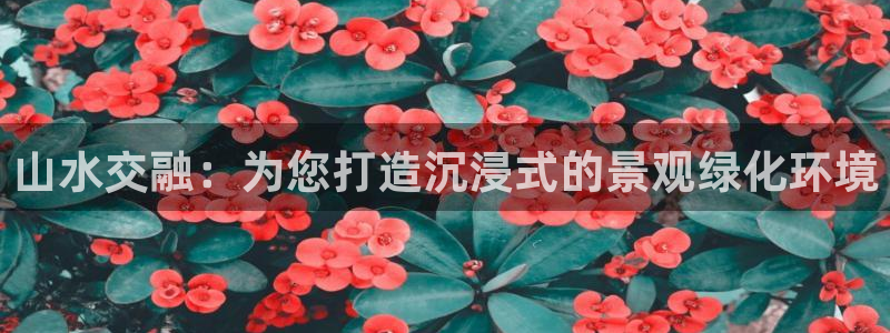 卧龙岗娱乐馆：山水交融：为您打造沉浸式的景观绿化环境