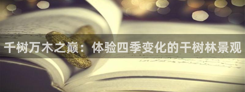 卧龙2神机娱乐注册：千树万木之巅：体验四季变化的干树林景观