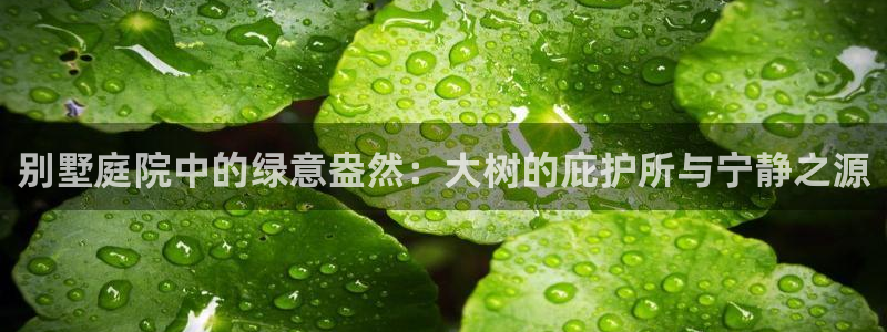BA娱乐卧龙招商60447：别墅庭院中的绿意盎然：大树的庇护所与宁静之源