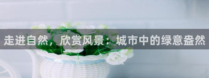 卧龙娱乐在线直播平台：走进自然，欣赏风景：城市中的绿意盎然