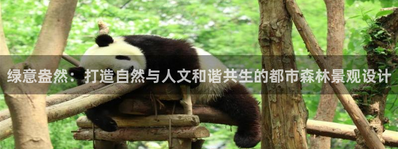 卧龙山娱乐项目