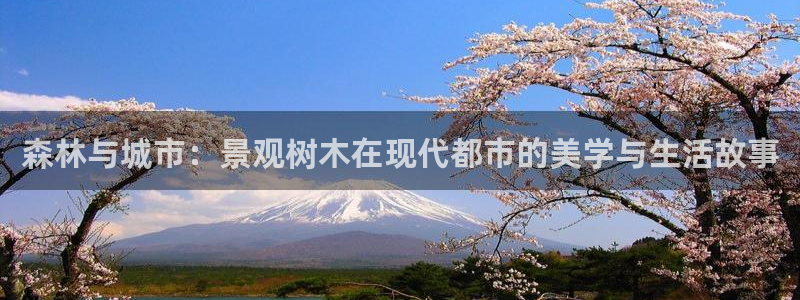 西安卧龙娱乐播报