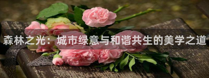 卧龙ktv娱乐会所电话