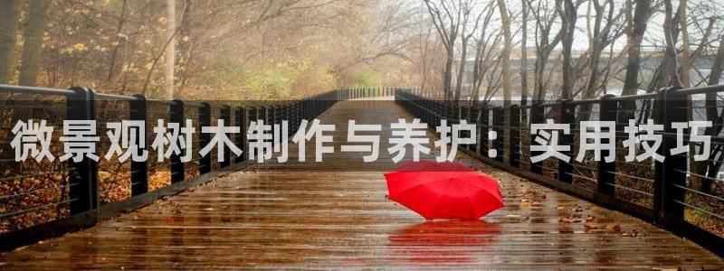 we娱乐 卧龙股东60447