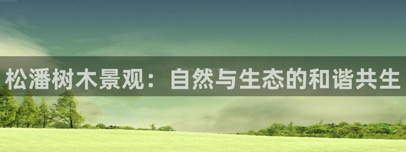 卧龙娱乐总管是谁