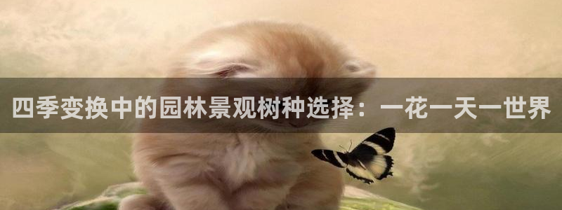 卧龙娱乐彩票中奖了吗