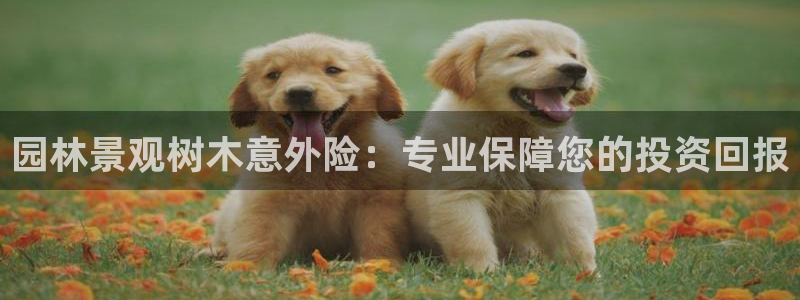 卧龙湾娱乐休闲会所电话