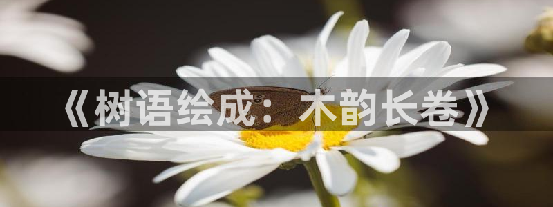卧龙娱乐是什么意思