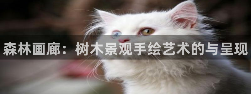 卧龙娱乐老板是谁：森林画廊：树木景观手绘艺术的与呈现