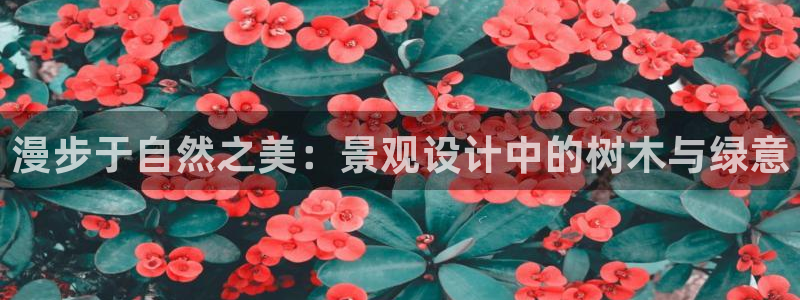 卧龙台球娱乐会所翔安：漫步于自然之美：景观设计中的树木与绿意