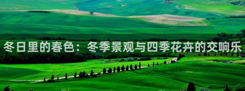 卧龙娱乐彩票app