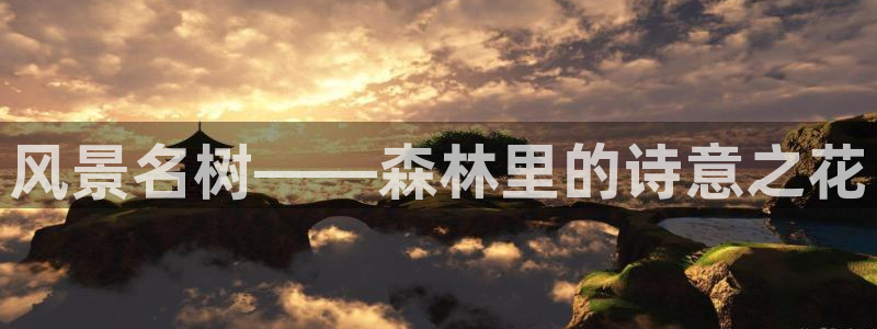 sky娱乐畅通卧龙86877